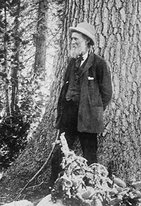 John Muir's letters, essays and books tell of his adventures in California's Sierra Nevada Mountains and are widely read today.