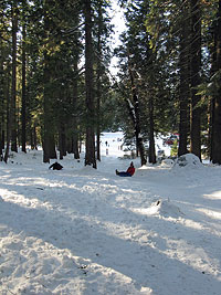 There's nothing like a day of playing in the snow to shake off the winter blues