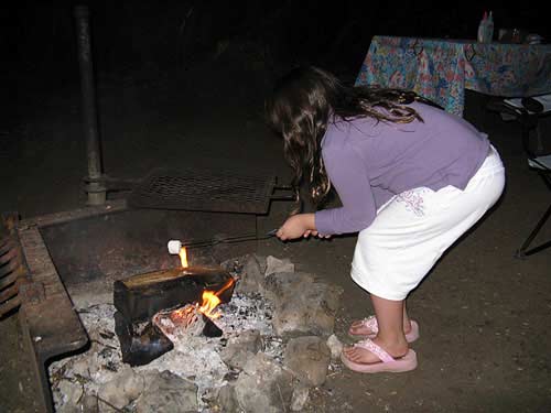 Things to do camping - make smores