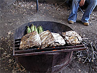 Foil packets on the campfire (photo by TheRogue)