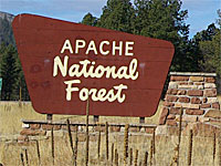 apache-national-forest