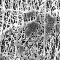 Cross section microphotograph of an EPTFE membrane showing the small voids that allow vapor to pass, similar to steel wool at a micro scale