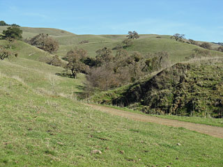 View from the bottom of the Willow Springs Trail (click for larger image)