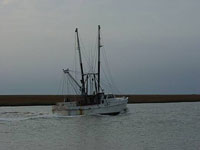 Buck Hall camping spot on the Intercoastal Waterway