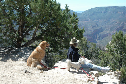 Grand Canyon North Rim, from Crazy Jug Point