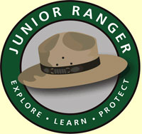 Kids Camping Junior Ranger