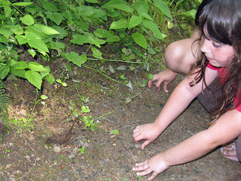 Kids Camping Scavenger Hunt