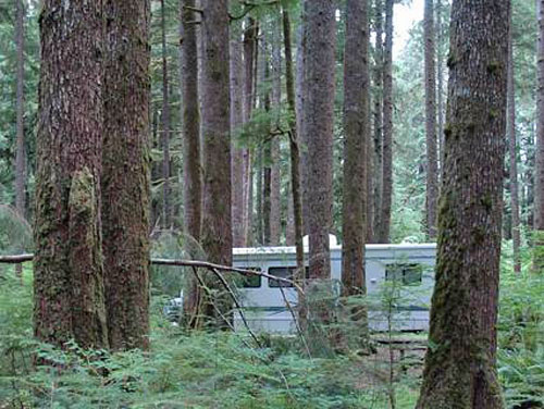 klahowya campground Olympic National Forest