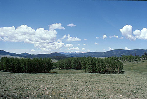 Valle Vidal wildlife management area