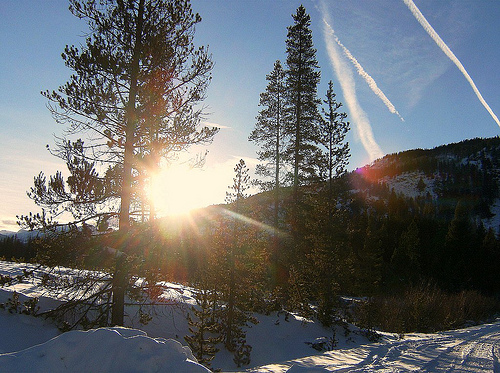 White Mountain National Forest