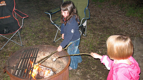 Marshmallow sticks