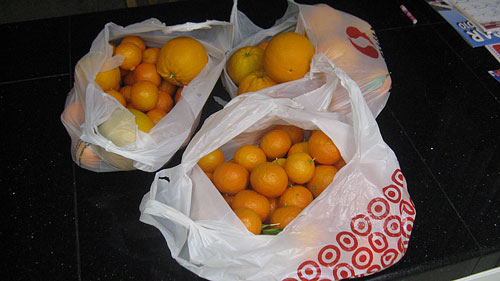 oranges from our backyard - in the middle of February