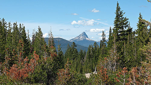 Dispersed camping in the Umpqua National Forest