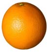 Fresh oranges are a wholesome trail snack - just remember to pack out the peels