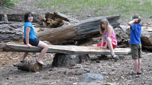 A makeshift teeter-totter in Lassen National Park