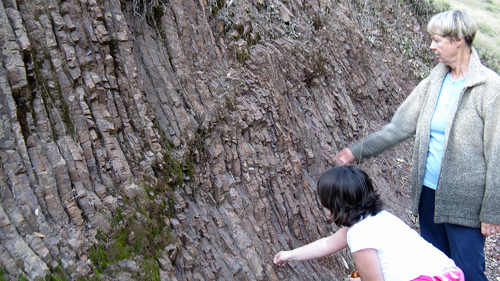 Vertical rock strata in Henry Coe State Park