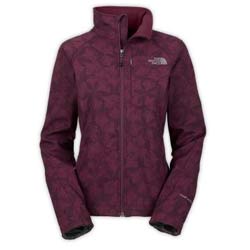 The North Face Apex Bionic Jacket