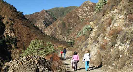 Hiking the Santa Lucia Trail in the Ventana Wilderness