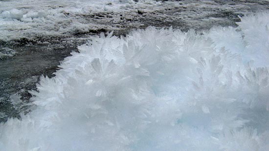 Interesting winter sights are everywhere in Yosemite, including this icy snow that looked like a pile of down feathers