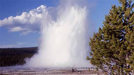 The kids would love to see a geyser