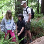 Hiking in the Redwoods