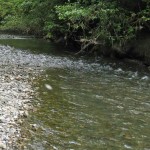 Skipping Rocks