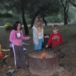 Evening Marshmallow Roast