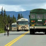For the past quarter-century, millions of visitors have experienced Denali National Park and Preserve largely through the window of a 48-passenger bus.