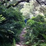 Tomales Bay State Park: many family-friendly adventures