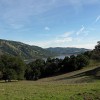 Henry W. Coe State Park, a sprawling expanse of oak trees and rolling green grasslands on Silicon Valley's southern edges, will not close after all.