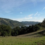 Henry W. Coe State Park, a sprawling expanse of oak trees and rolling green grasslands on Silicon Valley's southern edges, will not close after all.